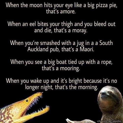 FB_IMG_1646147629057