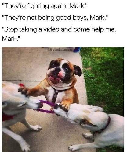 FB_IMG_1650725811465