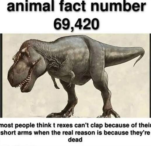 FB_IMG_1652282476056