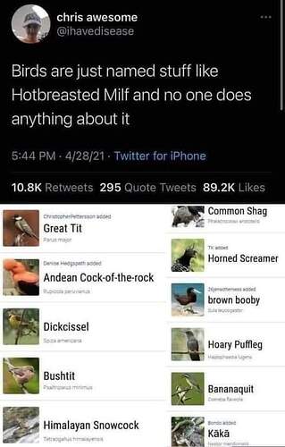 FB_IMG_1652399284736