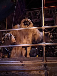 PXL_20220416_015235003.MP