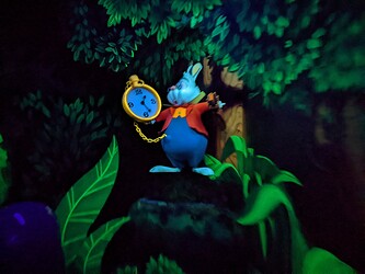 PXL_20220415_153227195