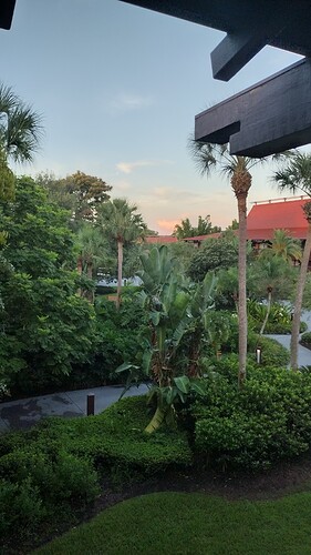 IMG_20230818_070503465_HDR