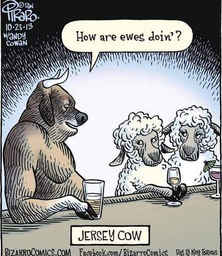 FB_IMG_1649511518187