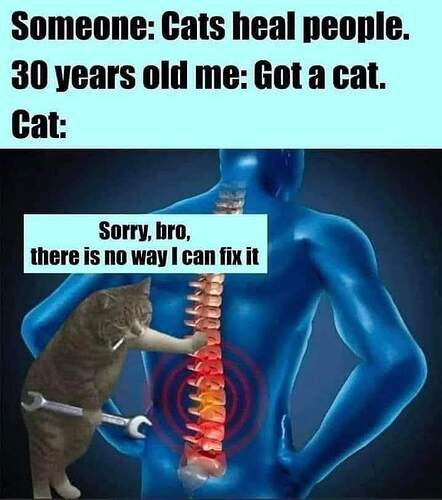 FB_IMG_1673280391023