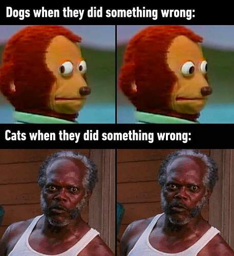 FB_IMG_1681001839947
