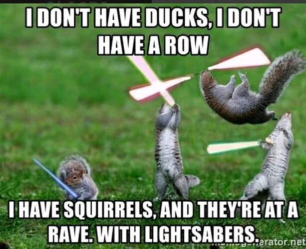 FB_IMG_1646147226612