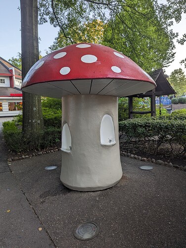 PXL_20230822_233325368