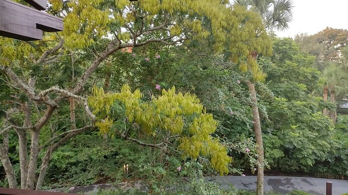 IMG_20230818_070457705_HDR