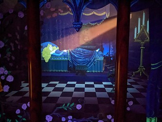 PXL_20220415_154957014.MP