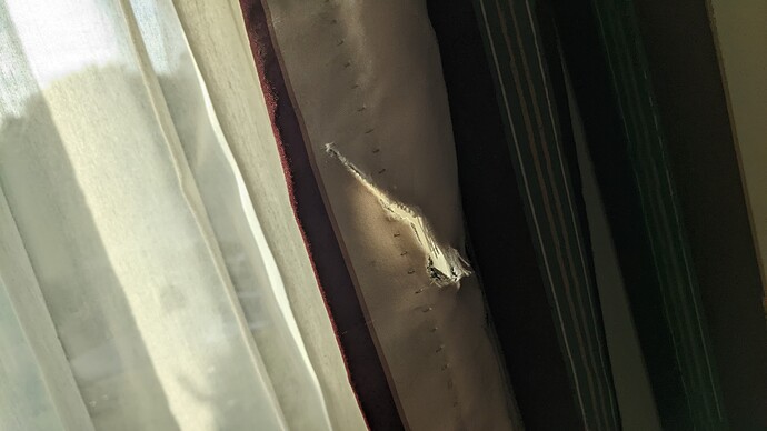 PXL_20221203_134252453.MP