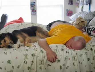 DH%20and%20Lokidogjpg