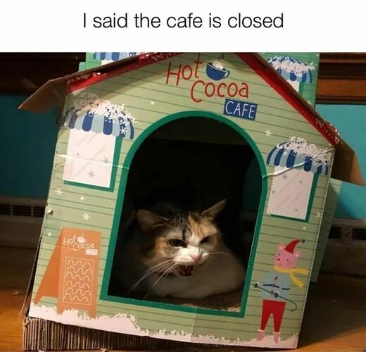 FB_IMG_1674618525143