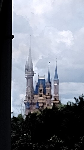 IMG_20230817_131244342