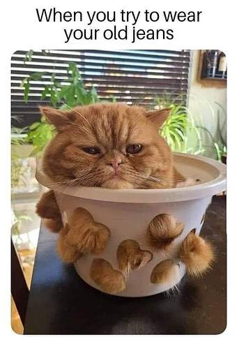 FB_IMG_1650604825755