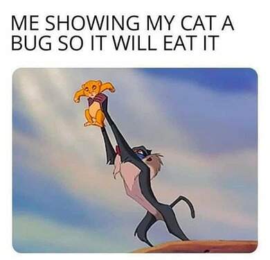 FB_IMG_1681267706195