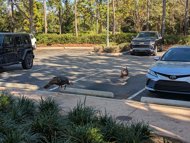 PXL_20241130_185545094.RAW-01.COVER