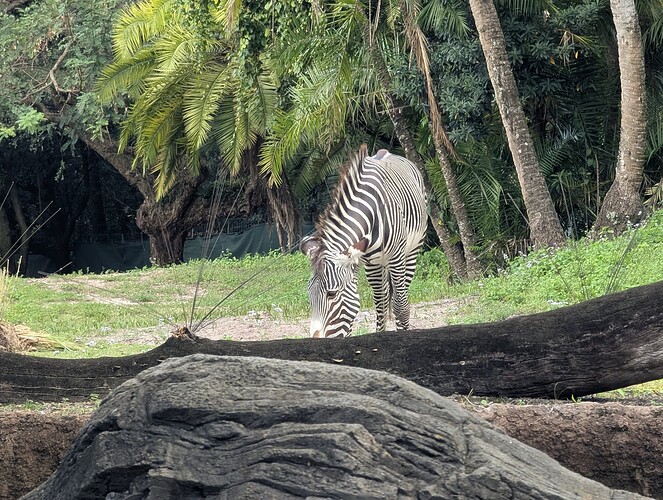 PXL_20241109_194814720.RAW-01.COVER