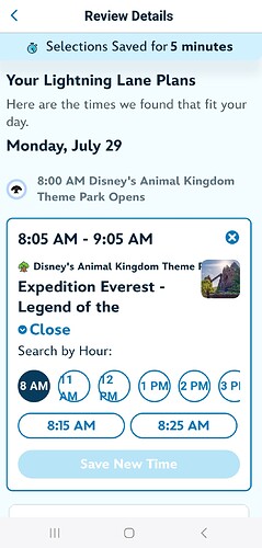 Screenshot_20240724_072810_Disney World