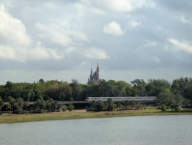PXL_20250429_131056961.MP