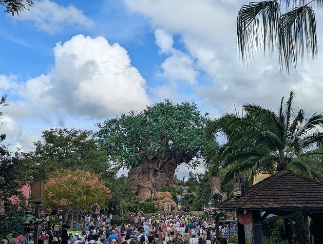 PXL_20241109_145409160.RAW-01.COVER