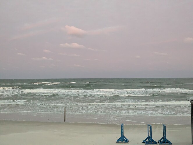 PXL_20241130_224414449.RAW-01.COVER