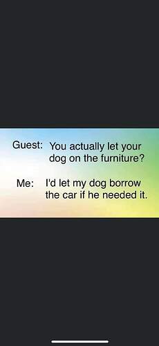 FB_IMG_1695727174777