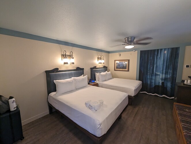 PXL_20240419_181745742.RAW-01.COVER