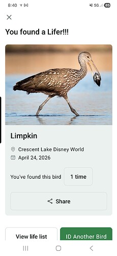 Screenshot_20260424_084027_Merlin Bird ID