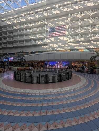 PXL_20251114_135747044.RAW-01.COVER