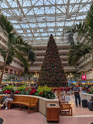 PXL_20251202_220029814.RAW-01