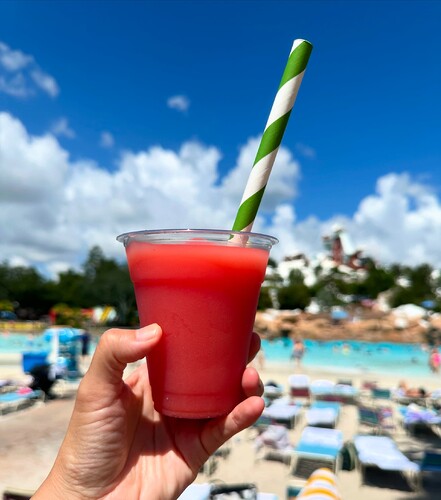 73CF25E4-2498-4055-B5EE-99063C97ED02