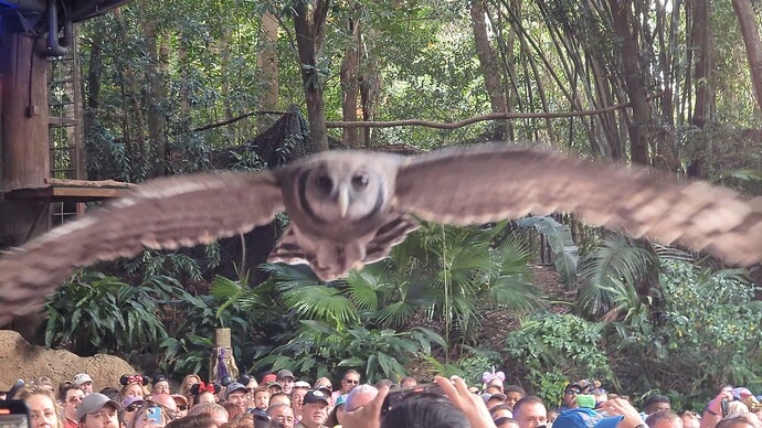 PXL_20241109_154016161_exported_12706