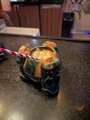 PXL_20241130_042011094.NIGHT.RAW-01.COVER