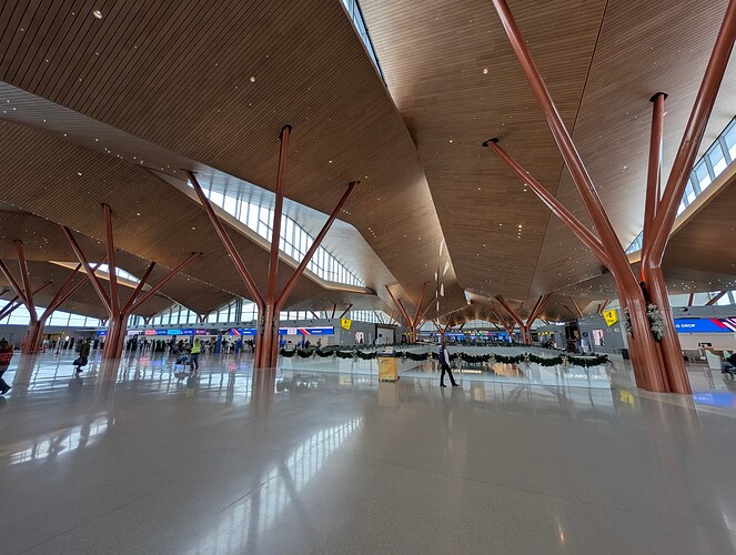 PXL_20251202_174533521.RAW-01