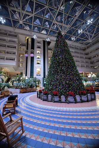MCO Holiday Tree Display