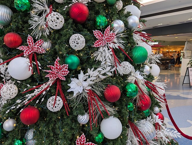 PXL_20251202_181113269.RAW-01