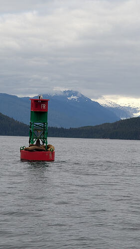 PXL_20260805_002849944