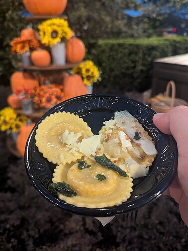 PXL_20241103_230320413.RAW-01.COVER