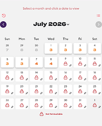 chrome_screenshot_Jul 8, 2025 11_33_02 AM EDT