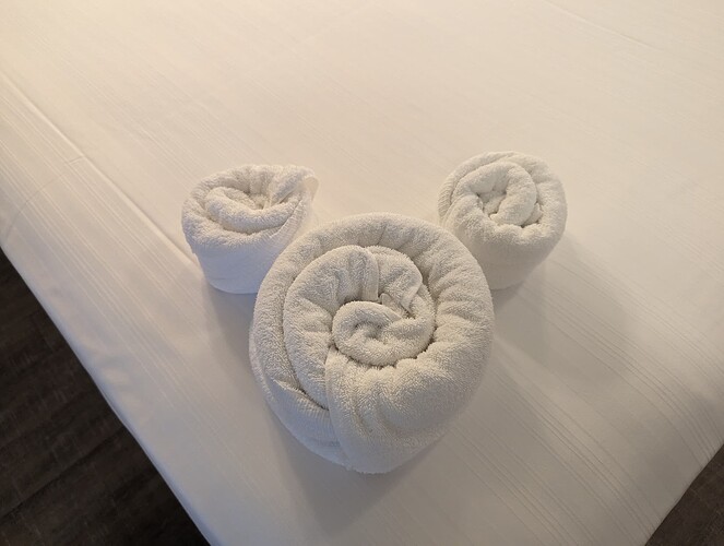 PXL_20240419_182005274.RAW-01.COVER