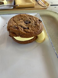 IMG_2599