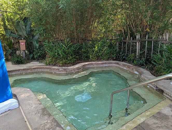 PXL_20251203_175609389.RAW-01