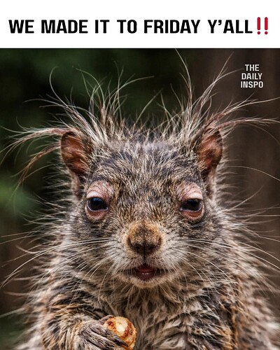 FB_IMG_1768570463870