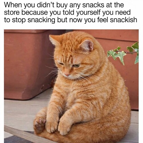 FB_IMG_1770693344294