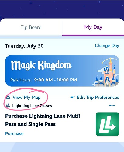 Screenshot_20240730_110308_Disney World