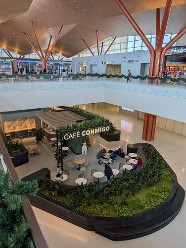 PXL_20251202_175113511.RAW-01