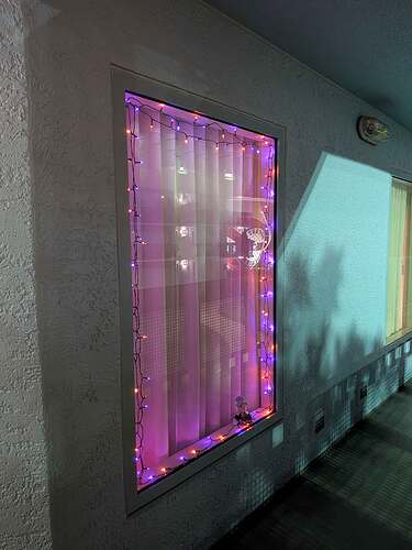 PXL_20251025_025754235-web