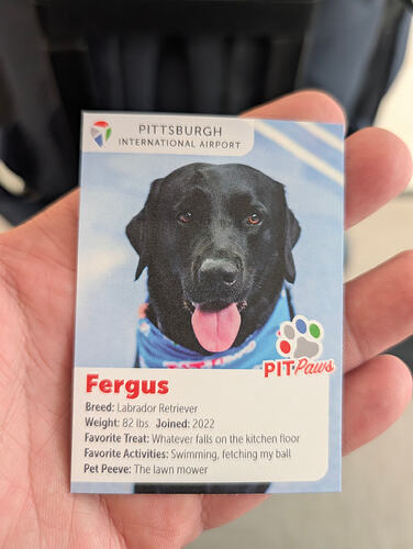 Official PIT Paws trading card for Fergus