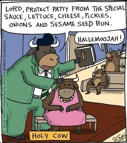 FB_IMG_1765031518436